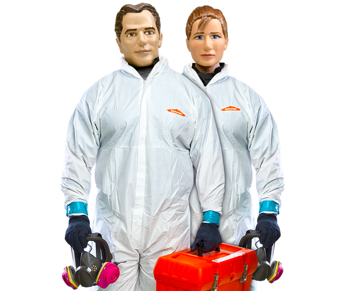 SERVPRO® mascots Stormy and Blaze in personal protective equipment holding a full face respirator and toolbox
